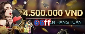 66ff