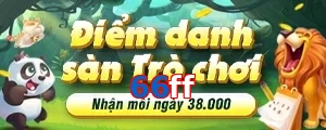 66ff