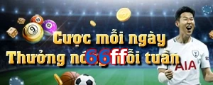 66ff